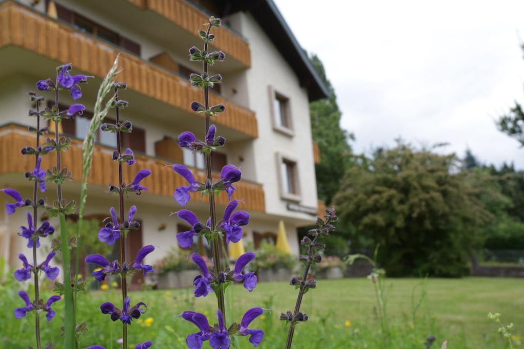 Hotel Pesentheinerhof Millstatt am See Exterior foto